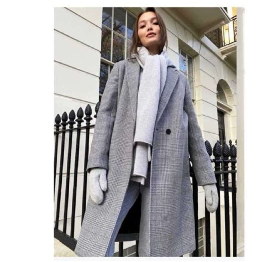 Aritzia stedman coat